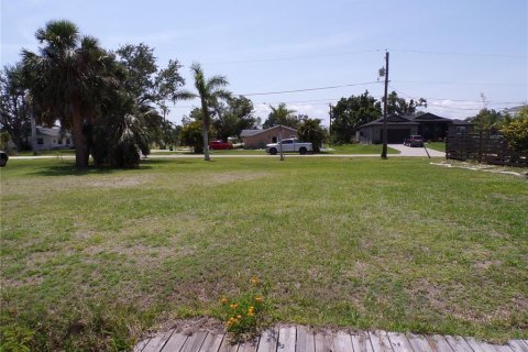 Land in Punta Gorda, Florida № 481455 - photo 12