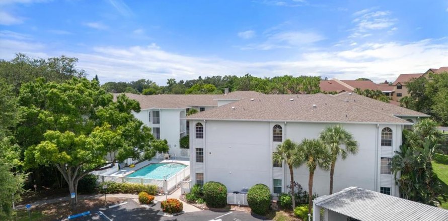 Condo in Bradenton, Florida, 1 bedroom  № 1261911