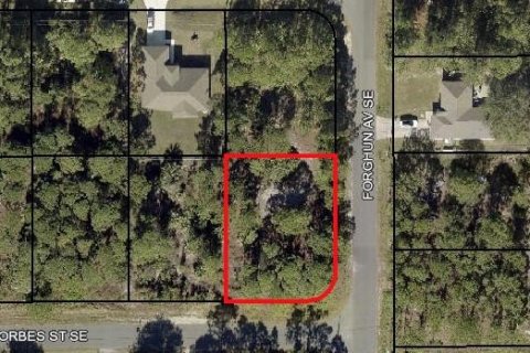 Land in Palm Bay, Florida № 1383699 - photo 2