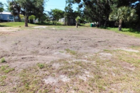 House in Punta Gorda, Florida 2 bedrooms, 150.5 sq.m. № 1342830 - photo 5