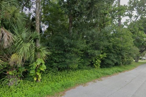 Terreno en venta en New Smyrna Beach, Florida № 1273700 - foto 1