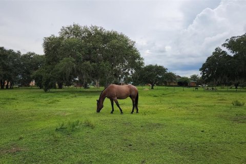 Terreno en venta en River Ranch, Florida № 1290084 - foto 12