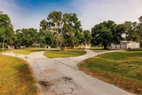 Villa ou maison à vendre à Arcadia, Floride: 4 chambres, 390 m2 № 1295600 - photo 3