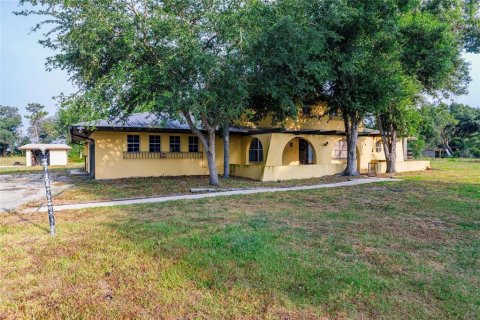 Villa ou maison à vendre à Arcadia, Floride: 4 chambres, 390 m2 № 1295600 - photo 5