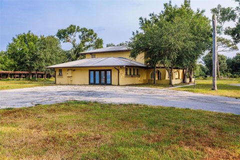 Villa ou maison à vendre à Arcadia, Floride: 4 chambres, 390 m2 № 1295600 - photo 4