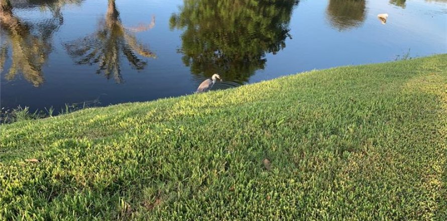 Terreno en Rotonda, Florida № 1218013