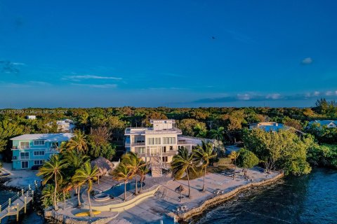 Villa ou maison à vendre à Key Largo, Floride: 6 chambres, 444.07 m2 № 1141864 - photo 1