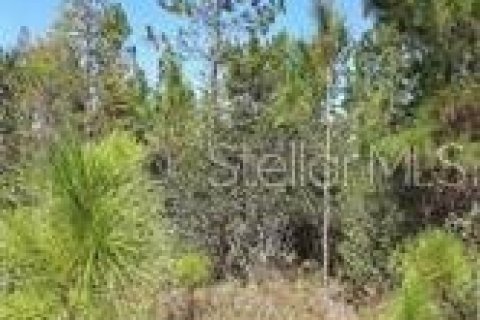 Terreno en alquiler en Clermont, Florida № 229334 - foto 1