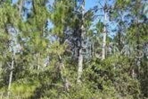 Terreno en alquiler en Clermont, Florida № 229334 - foto 5