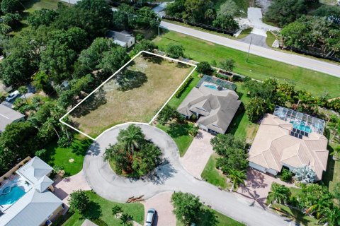 Купить земельный участок в Виро-Бич, Флорида № 1141382 - фото 4