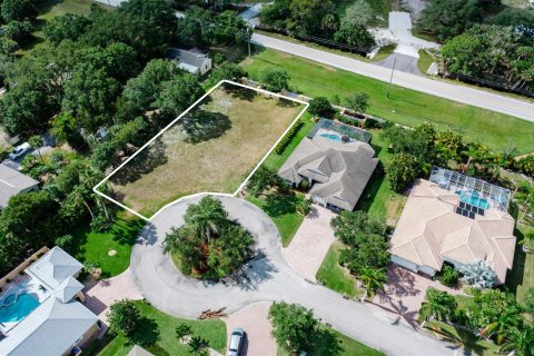 Land in Vero Beach, Florida № 1141382 - photo 4