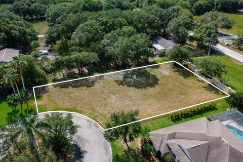 Купить земельный участок в Виро-Бич, Флорида № 1141382 - фото 6
