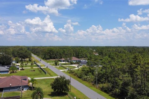 Land in Alachua, Florida № 1371451 - photo 5