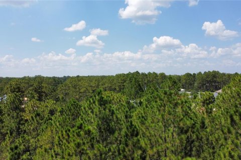 Land in Alachua, Florida № 1371451 - photo 2