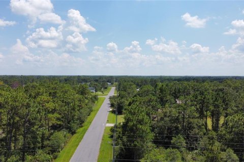 Terrain à vendre à Alachua, Floride № 1371451 - photo 6