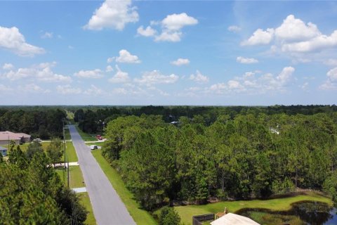 Terrain à vendre à Alachua, Floride № 1371451 - photo 4