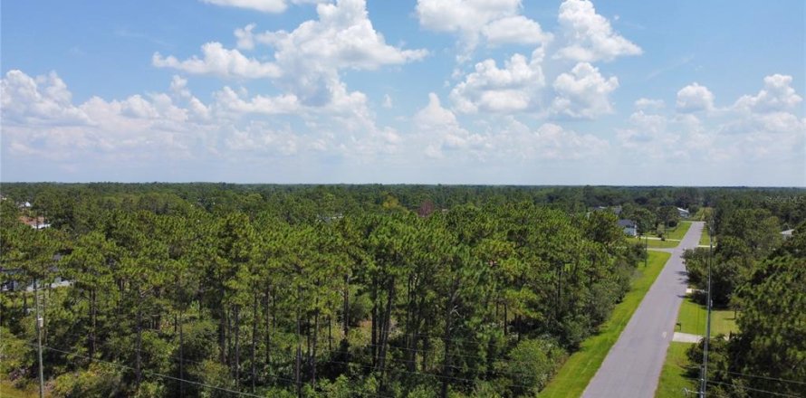 Terrain à Alachua, Floride № 1371451