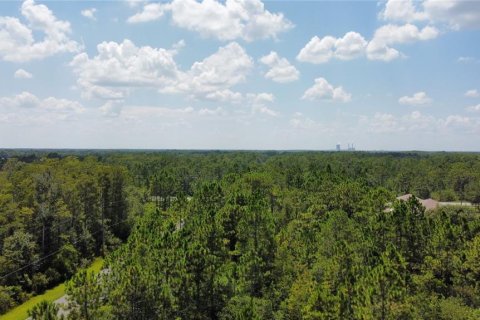 Terrain à vendre à Alachua, Floride № 1371451 - photo 7