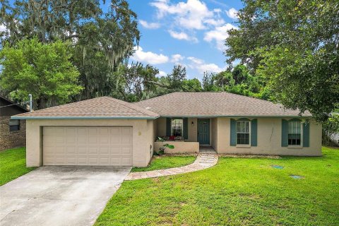 Villa ou maison à vendre à Mount Dora, Floride: 3 chambres, 127.28 m2 № 1339341 - photo 1