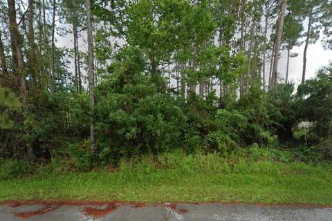 Terreno en venta en Palm Coast, Florida № 1407167 - foto 1