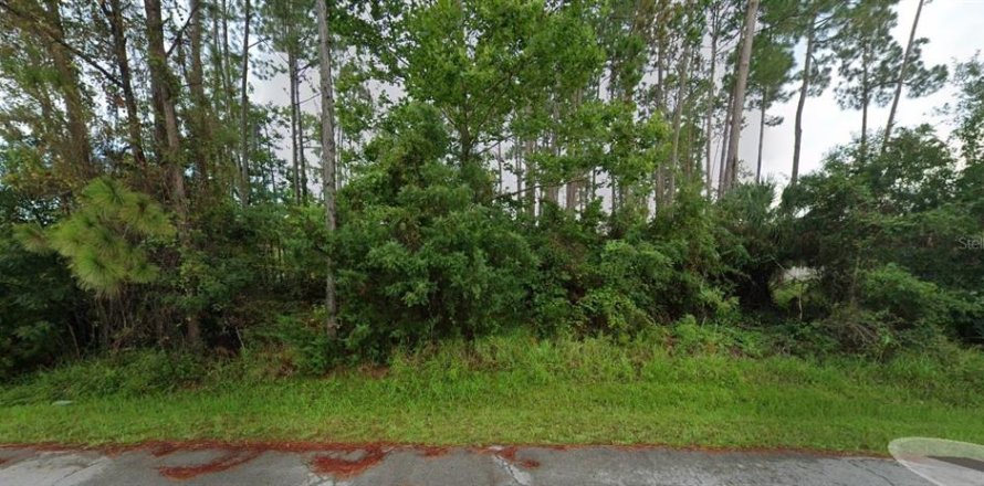 Terreno en Palm Coast, Florida № 1407167