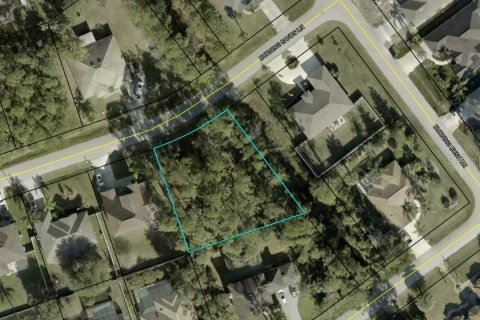 Terreno en venta en Palm Coast, Florida № 1407167 - foto 3