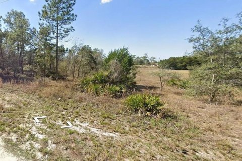 Terreno en venta en Brooksville, Florida № 1371525 - foto 1