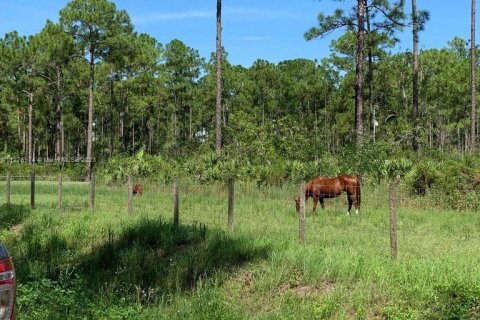 Land in West Palm Beach, Florida № 132549 - photo 18