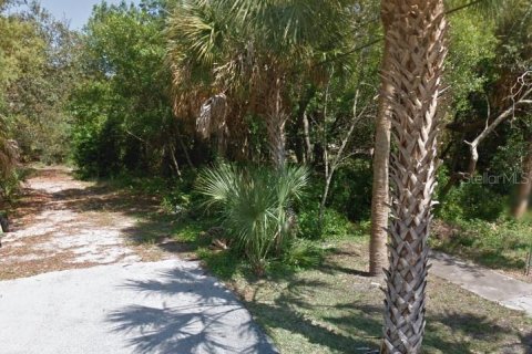 Terreno en venta en Tarpon Springs, Florida № 1399341 - foto 1