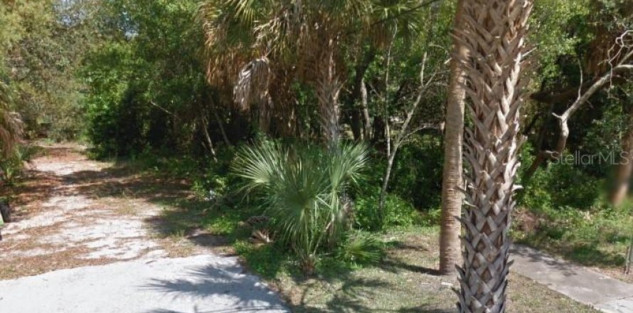 Terreno en Tarpon Springs, Florida № 1399341