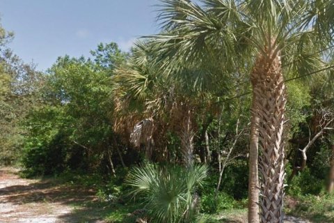 Terreno en venta en Tarpon Springs, Florida № 1399341 - foto 9