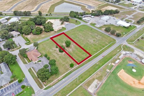 Terreno en venta en Eustis, Florida № 1371148 - foto 1