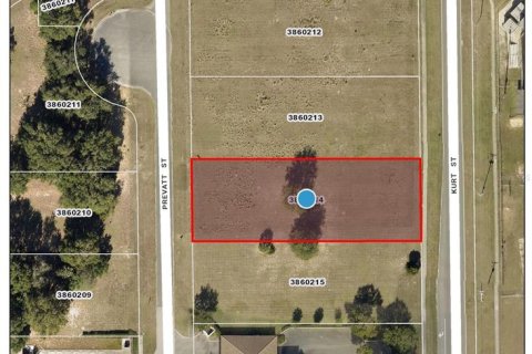 Terreno en venta en Eustis, Florida № 1371148 - foto 2