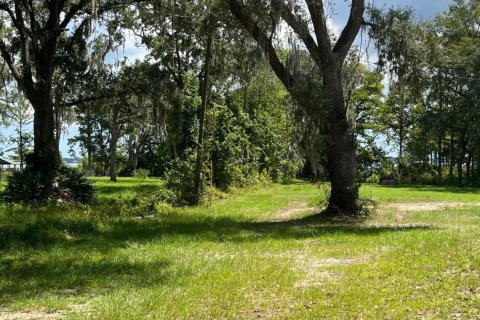Land in Palatka, Florida № 770586 - photo 6