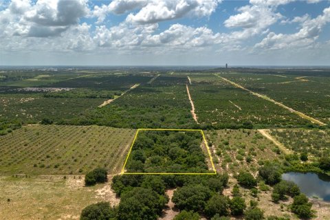 Land in Lake Wales, Florida № 1304164 - photo 3