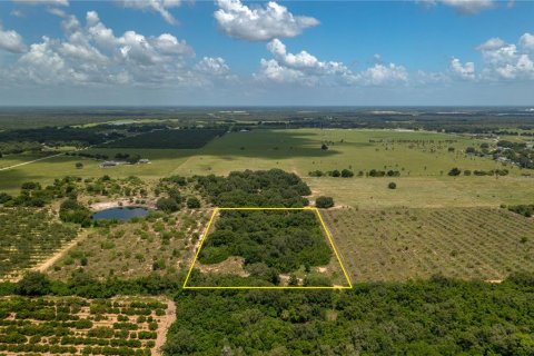 Land in Lake Wales, Florida № 1304164 - photo 4