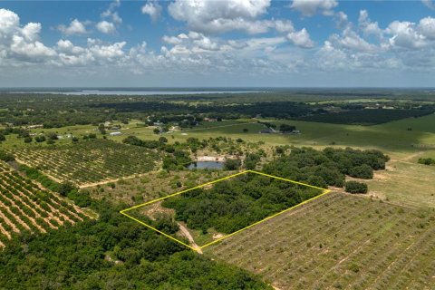 Land in Lake Wales, Florida № 1304164 - photo 5