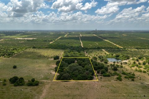 Land in Lake Wales, Florida № 1304164 - photo 2