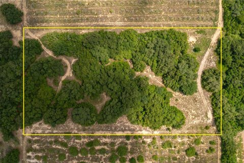 Land in Lake Wales, Florida № 1304164 - photo 9