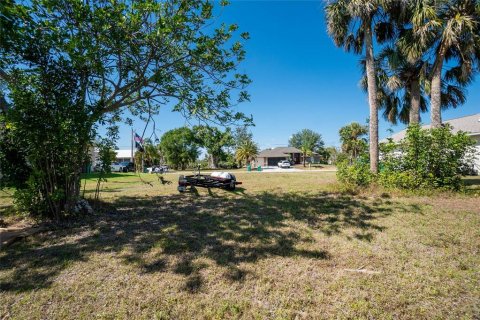 Terreno en venta en Punta Gorda, Florida № 829022 - foto 9