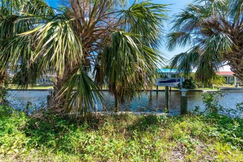 Land in Punta Gorda, Florida № 829022 - photo 4