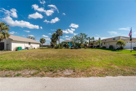 Land in Punta Gorda, Florida № 829022 - photo 5