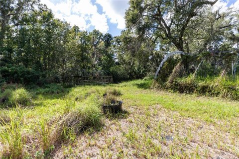 Land in Riverview, Florida № 1389301 - photo 6