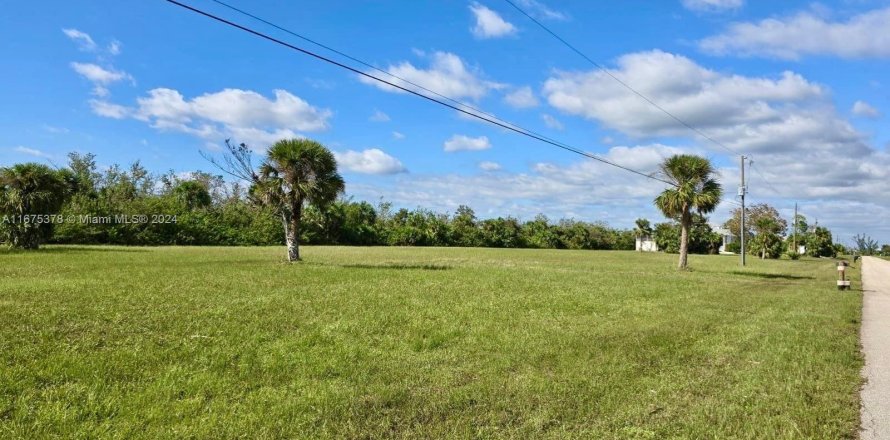 Terreno en Punta Gorda, Florida № 1401331