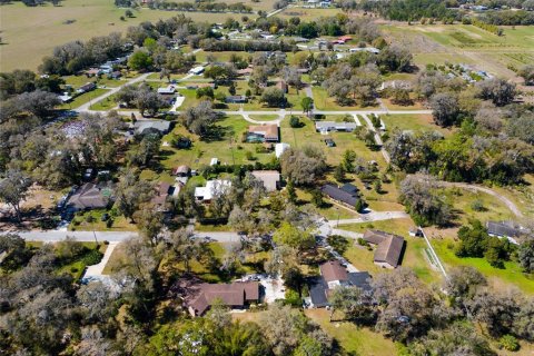 Villa ou maison à vendre à Plant City, Floride: 4 chambres, 365.57 m2 № 1351491 - photo 2