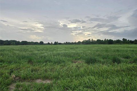 Land in Fort Meade, Florida № 1351492 - photo 1