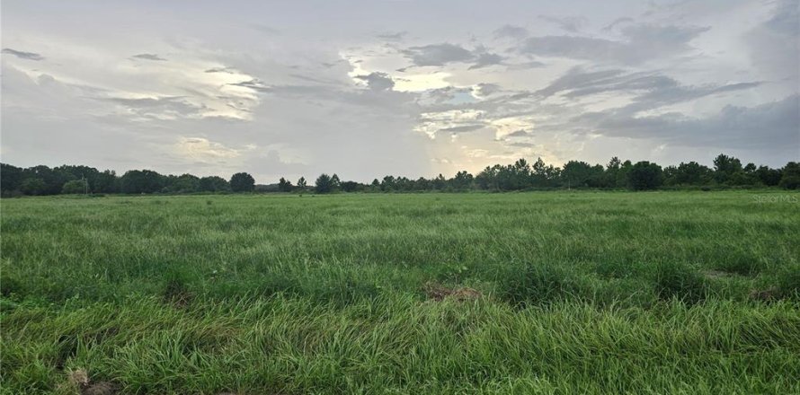 Terrain à Fort Meade, Floride № 1351492