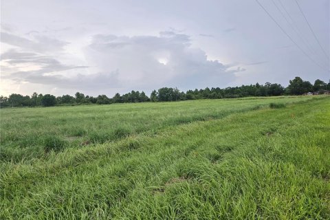 Terrain à vendre à Fort Meade, Floride № 1351492 - photo 4