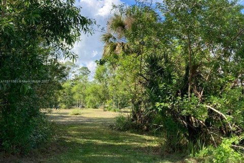 Terrain à vendre à Clewiston, Floride № 186098 - photo 1