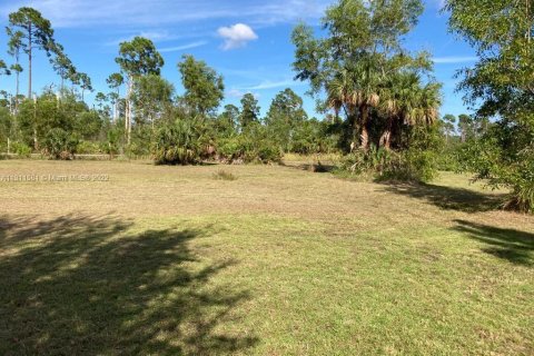 Land in Clewiston, Florida № 186098 - photo 5